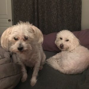 Meet your Posher, Julie